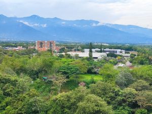 ¿Por qué vivir en Ibagué?