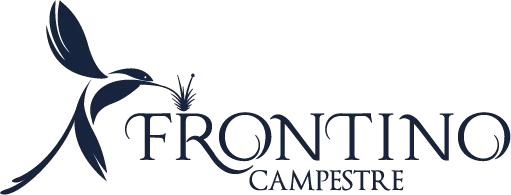 Logo Frontino azul